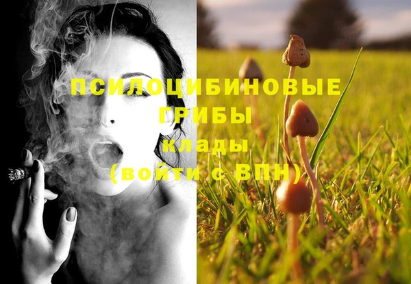 амфетамин Заволжск