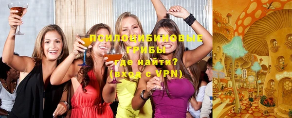 гашик Заводоуковск