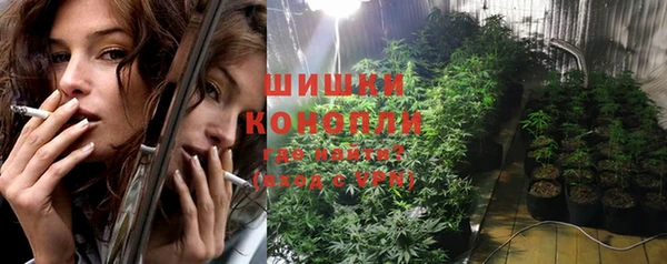 гашик Заводоуковск