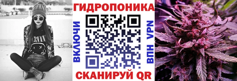 Марихуана OG Kush  Купить где  Лагань 